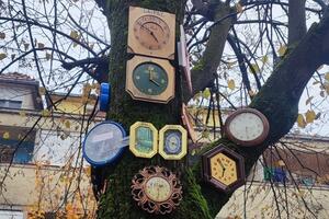 Izložba časovnika na drvetu