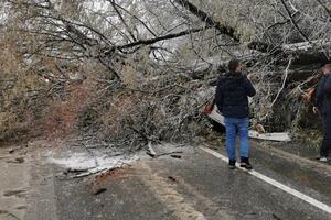 Bijelo Polje: Drvo palo na automobil u pokretu, jedna osoba teže...