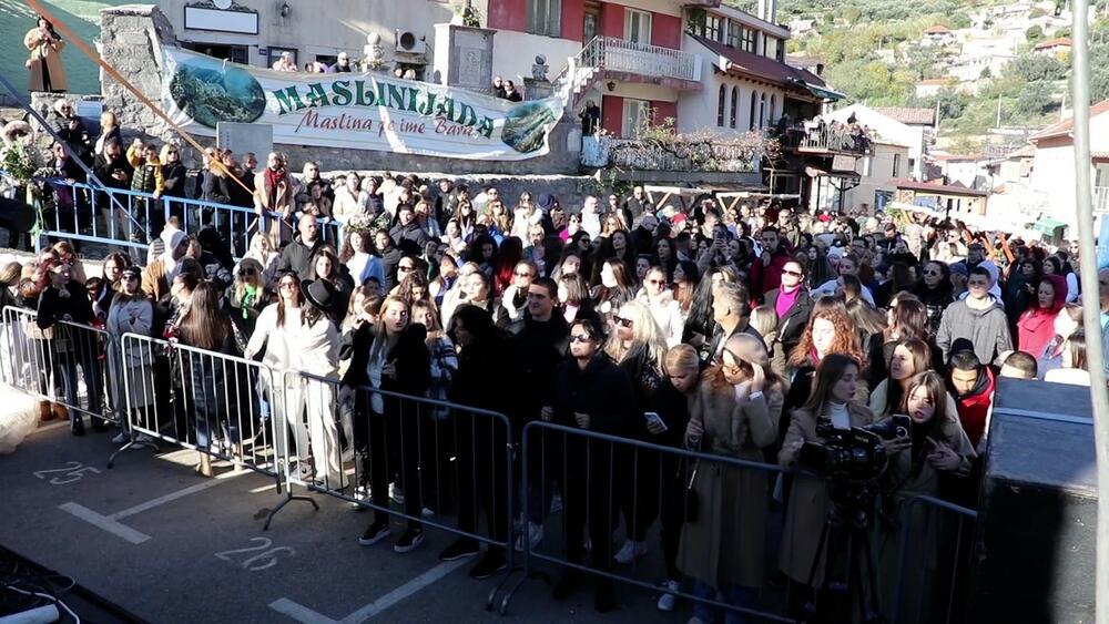 <p>Različitim manifestacijama obilježena 21. Maslinijada</p>