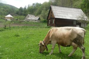 Pljevlja: Za poljoprivredu 1,5 miliona eura