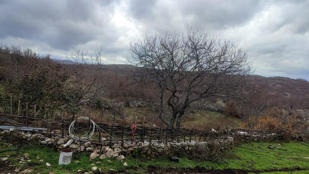 Dvorište ispred kuće Stanka Perovića