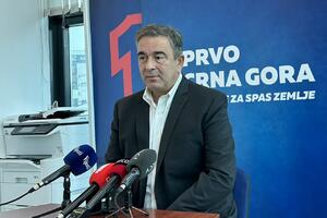 Medojević: Teza da je DPS političko krilo mafije dobija na snazi
