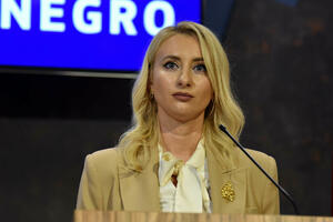 Gorčević: Crna Gora će podržati članstvo Kosova u Savjetu Evrope,...