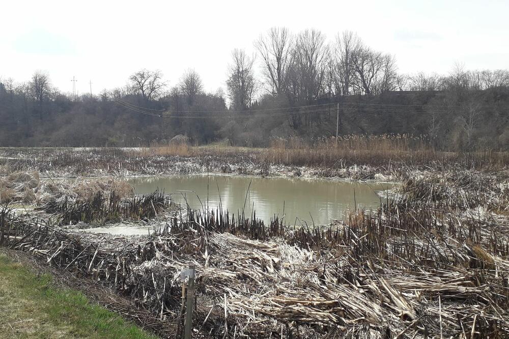 Jedna od laguna u Kolašinu, Foto: Dragana Šćepanović