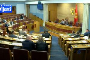 Rasprava o izmjenama Zakona o RTCG-u: Vlast podržava Vladino...