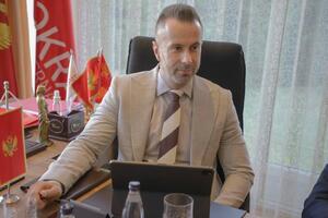 Bogdanović: Zabrinuti smo činjenicom i tvrdnjom da je afera Do...