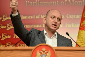 Knežević: Istog trenutka kad Crna Gora glasa za Rezoluciju o...