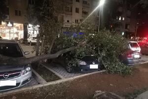 Podgorica: Dio stabla pao na vozila, vjetar oborio i ogradu na...