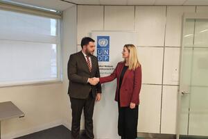 Živković: UNDP nedvosmislen partner evropskog puta Crne Gore