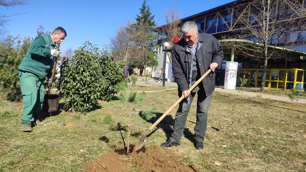 <p>„Cilj ove akcije je ozelenjavanje školske površine i da probudimo svijest kod naših đaka dajući jedan pozitivan primjer u društvu", rekao je Aleksandar Šipčić</p>