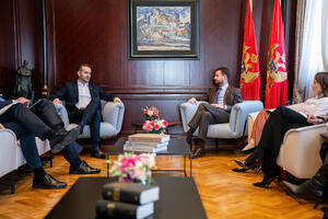 Danas nastavak konsultacija Vlade i Milatovića o imenovanju...