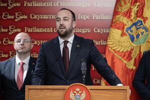 Nikolić: Niko nema pravo da za ambasadore odobrava ljude koji ne...