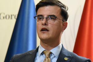 Šaranović: Status kandidata za v.d. direktora UP može imati samo...