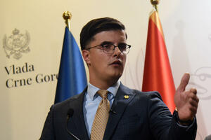 Šaranović: Nije opcija da koordiniram policijom, Vlada da do...