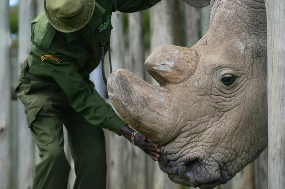 Foto: Getty Images