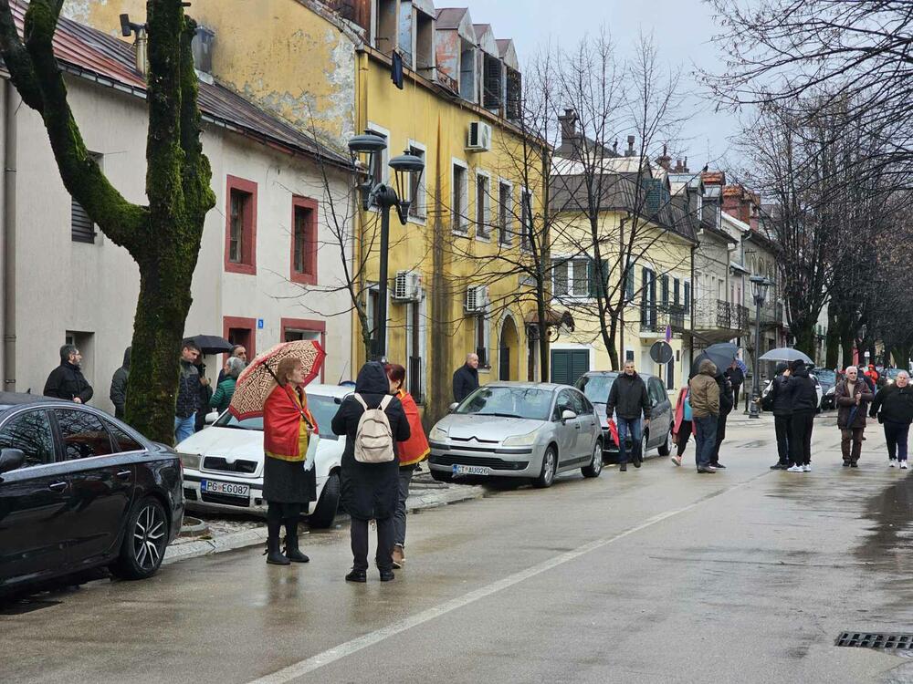 <p>Okupljeni nose transparente sa natpisima "Mandiću, promašio si Prijestonicu", "Nećemo Putinove lame na čelu države", "Crna Gora je za EU", Pod Lovćenom, a ne pod koljenicom", "Dalaj lama iz Kristala"</p>