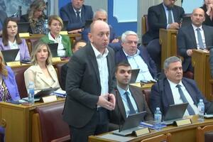 Knežević: Ako BS bude glasala za smjenu Mandića, DNP će biti...