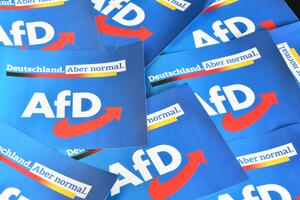 BR: Za poslanike Bundestaga iz AfD radi više ekstremnih desničara,...