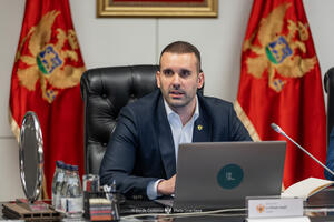 Obrazloženje Spajića: Radovića preporučuje iskustvo u Europolu,...