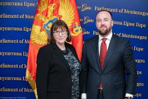Nikolić - Meken: Ključni izazov za Crnu Goru biće kako osigurati...