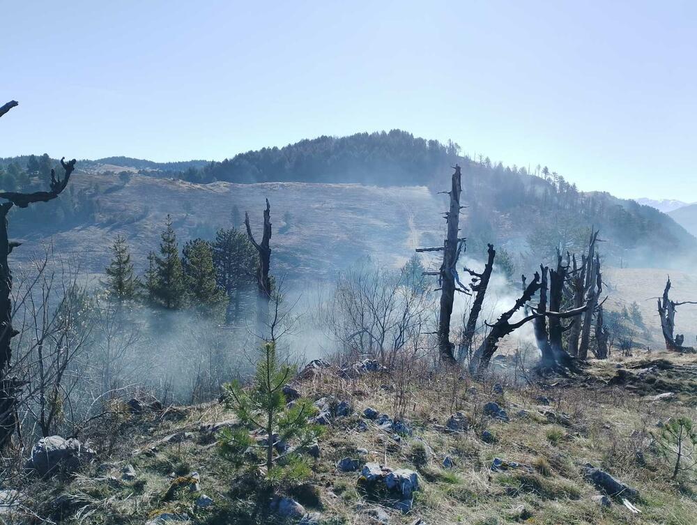 <p>NPCG apeluje na sve relevantne državne organe i službe da im pruže podršku i pomoć, jer je "riječ o požaru koji prijeti da će progutati ogromna prostranstva u parku i van njega"</p>