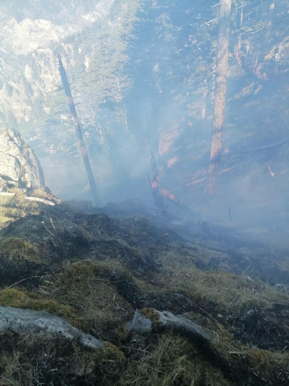 <p>NPCG apeluje na sve relevantne državne organe i službe da im pruže podršku i pomoć, jer je "riječ o požaru koji prijeti da će progutati ogromna prostranstva u parku i van njega"</p>