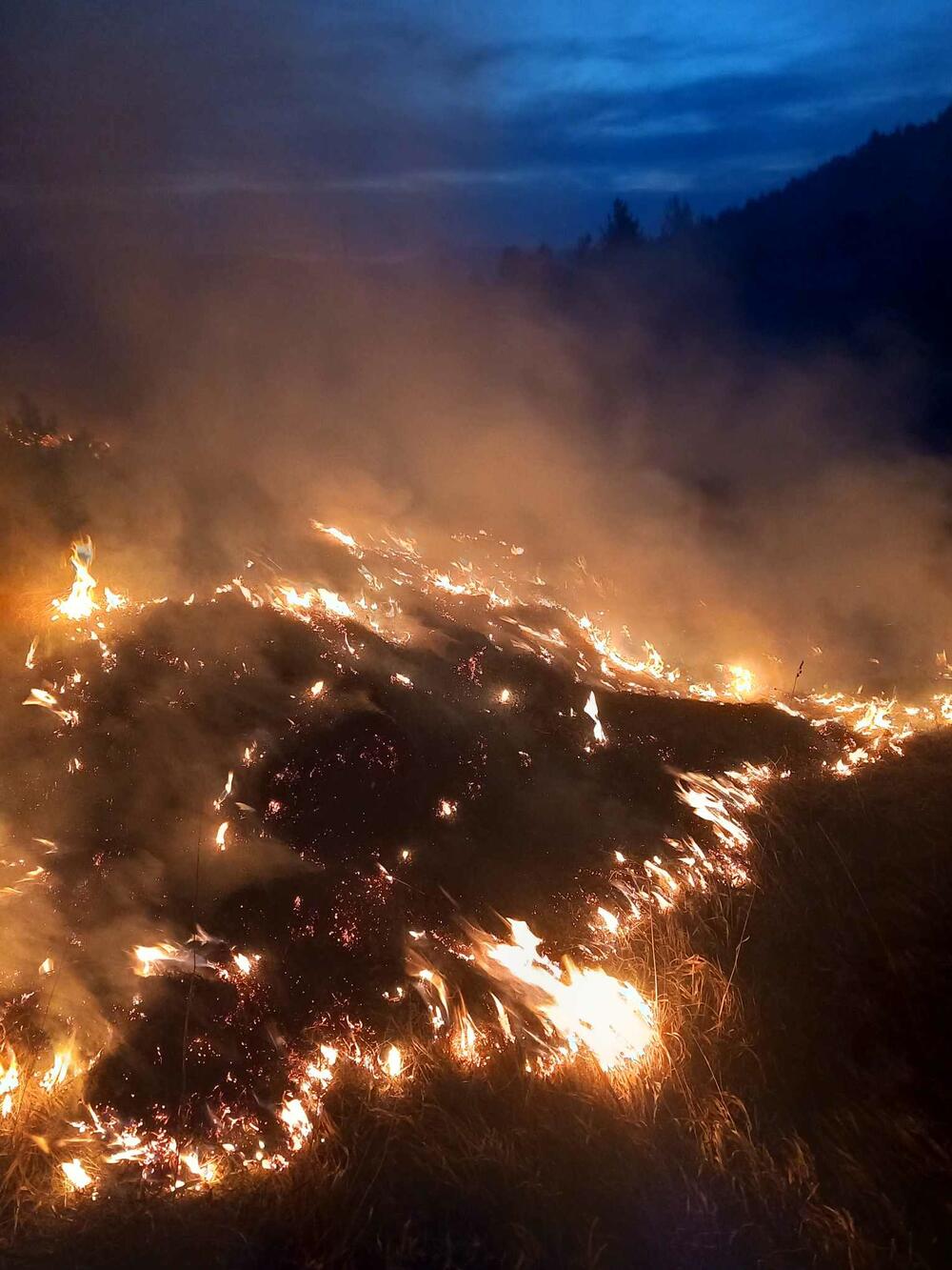 <p>NPCG apeluje na sve relevantne državne organe i službe da im pruže podršku i pomoć, jer je "riječ o požaru koji prijeti da će progutati ogromna prostranstva u parku i van njega"</p>