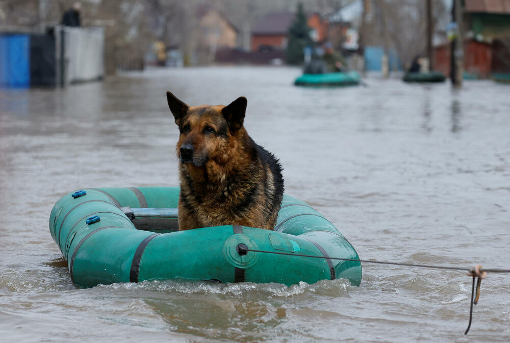 <p>Čitava sela i gradovi na ruskom južnom Uralu i zapadnom Sibiru poplavljeni su izlivenim rijekama, a najteže je pogođena oblast Orenburg</p>