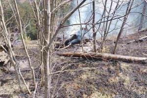 Danima buktio: Ugašen požar u mjestu Stup kod Mojkovca, vatrogasci...