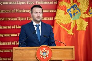 Pejović: Rezoluciju o Jasenovcu smo podržali i nećemo je povlačiti...