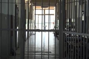 Državljaninu Srbije 20 dana zatvora: Bestidno se ponašao prema...