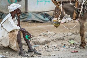 Zaboravljeni sukob u Sudanu na putu da postane najteža kriza gladi...