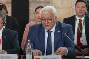 Mandić: Crna Gora u savršenoj poziciji da bude naredna članica EU