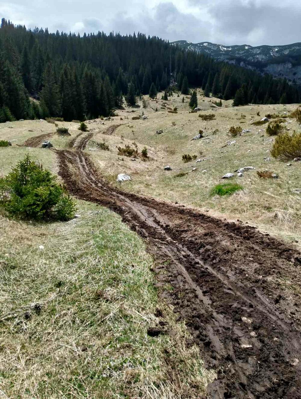 <p>Iz KOR-a su optužili aktuelnog direktora NP Durmitor, Pera Popovića, da dozvoljavala ilegalne aktivnosti</p>