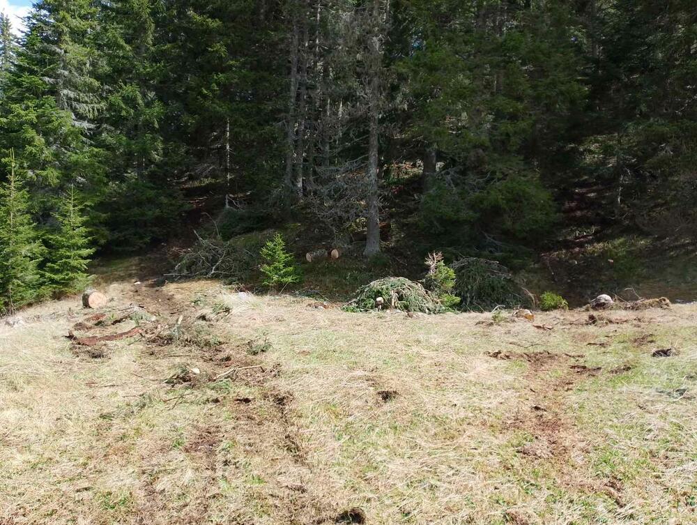 <p>Iz KOR-a su optužili aktuelnog direktora NP Durmitor, Pera Popovića, da dozvoljavala ilegalne aktivnosti</p>