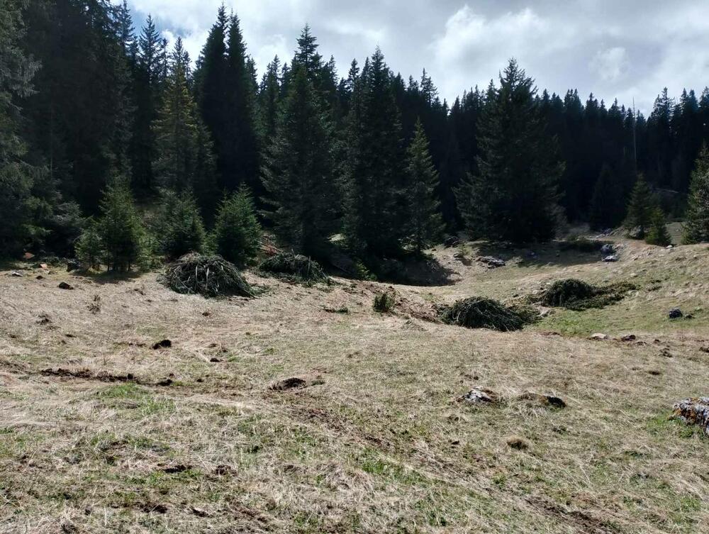 <p>Iz KOR-a su optužili aktuelnog direktora NP Durmitor, Pera Popovića, da dozvoljavala ilegalne aktivnosti</p>