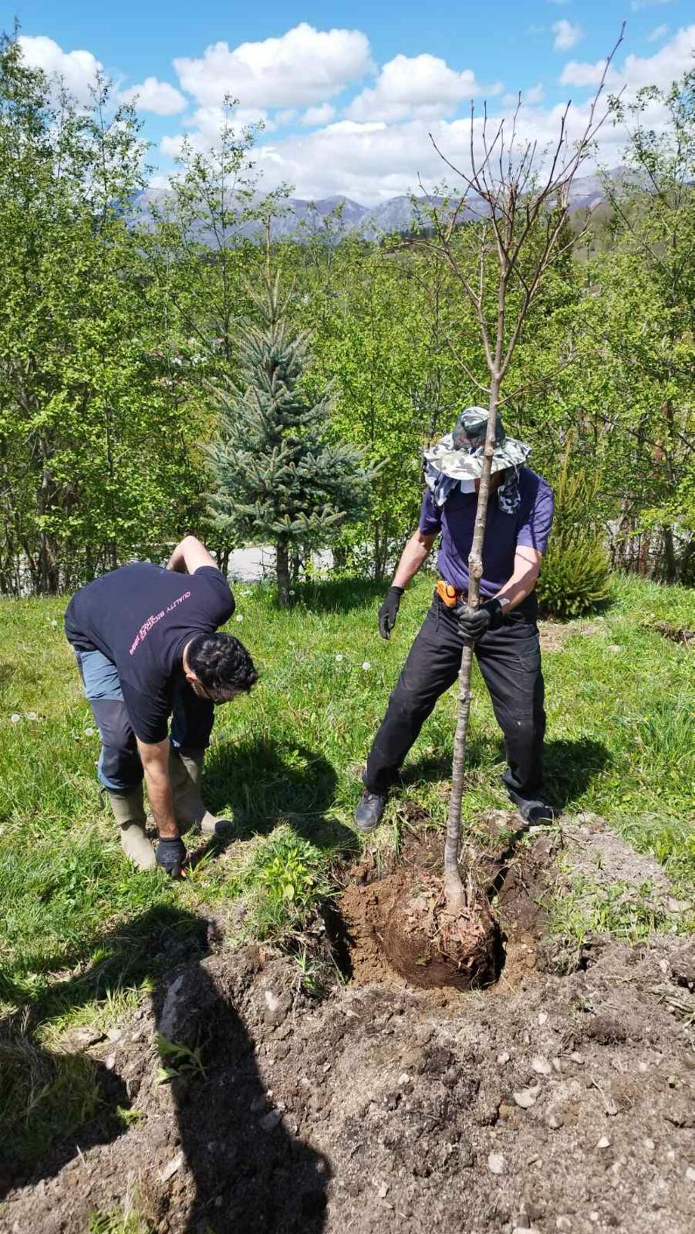 <p>Aktivnosti ozelenjavanja gradskih zelenih površina, kako i akcije pošumljavanja, najavljene su i u narednom periodu</p>