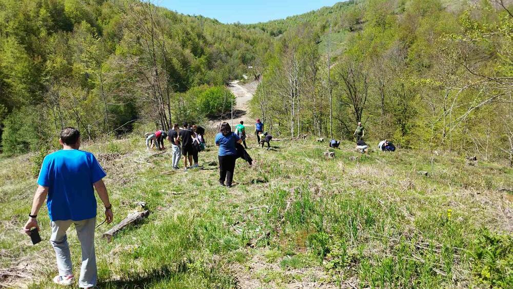 <p>Aktivnosti ozelenjavanja gradskih zelenih površina, kako i akcije pošumljavanja, najavljene su i u narednom periodu</p>