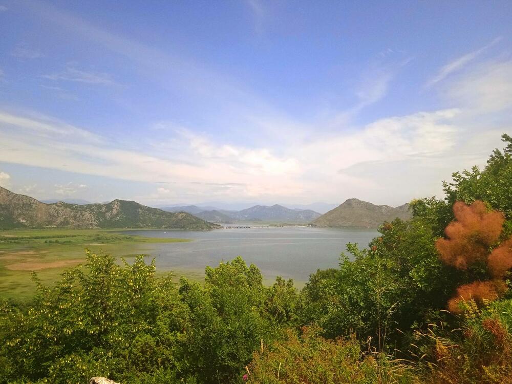skadar lake is one of the biggest lakes in this part of europe