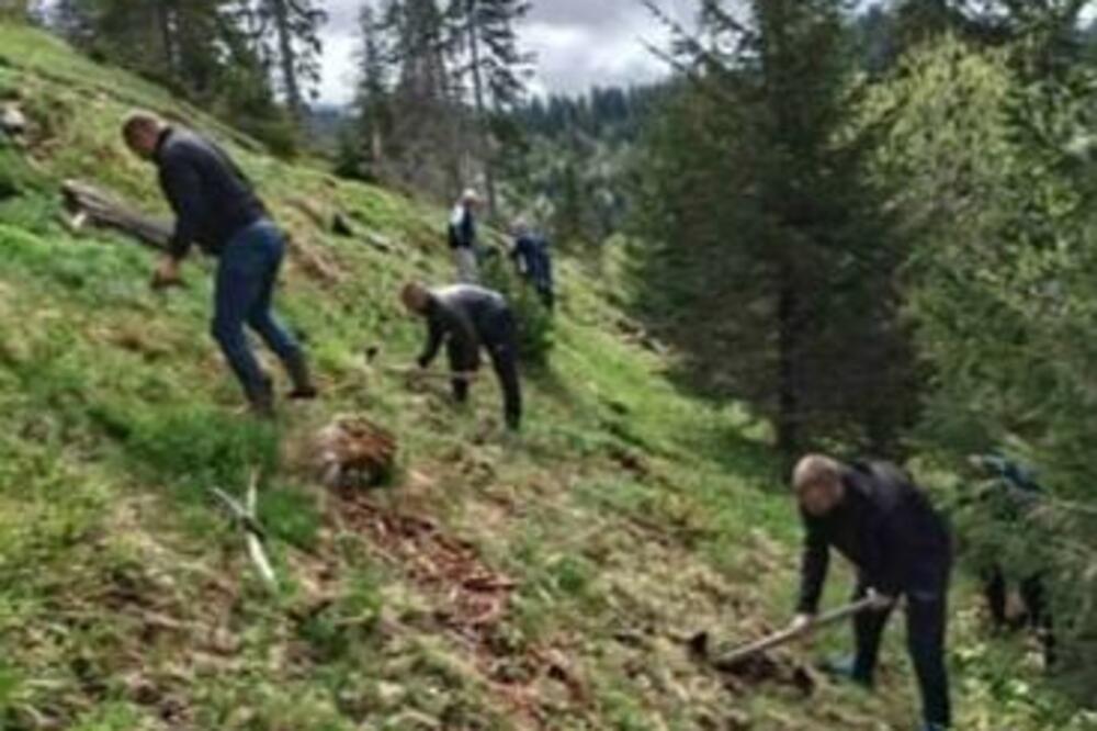 Sa akcije pošumljavanja, Foto: Uprava za gazdovanje šumama i lovištima