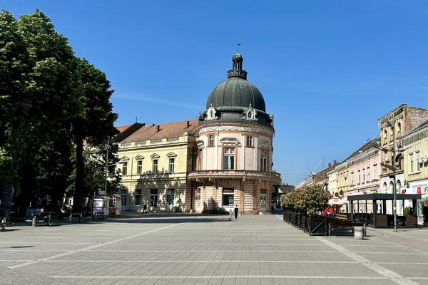 Dimitrovica, sremska ljepotica