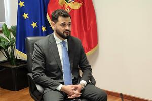 Laketić: Poreski dug 660 miliona eura, nije se odustalo od...