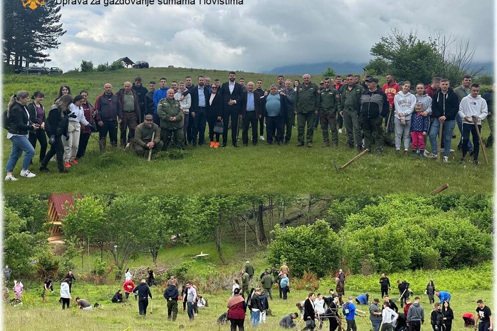 Foto: Uprava za gazdovanje šumama i lovištima