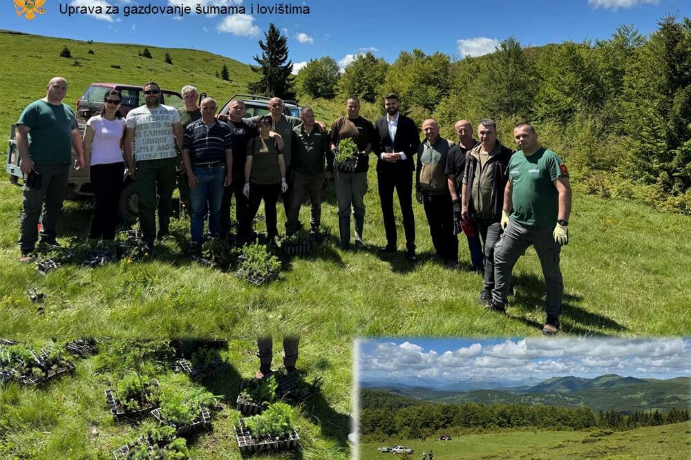 Foto: Uprava za gazdovanje šumama i lovištima Crne Gore