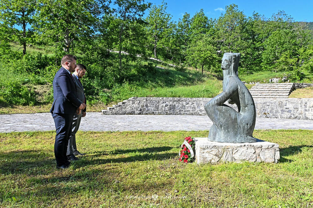 Koprivica, Foto: Vlada Crne Gore