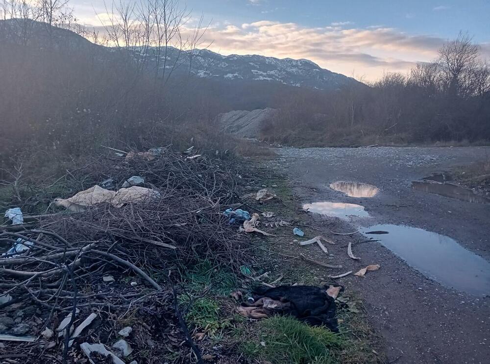 <p>"Na ovaj način pored smanjenja broja divljih deponija na teritoriji Mojkovca, očuvalo se šumsko zemljište, potoci, vodoizvorišta, i rijeka Tara, kao biser Crnogorskog riječnog toka"</p>