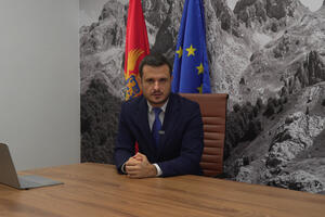 Zenović: Među državama članicama EU postoji konsenzus da Crna Gora...