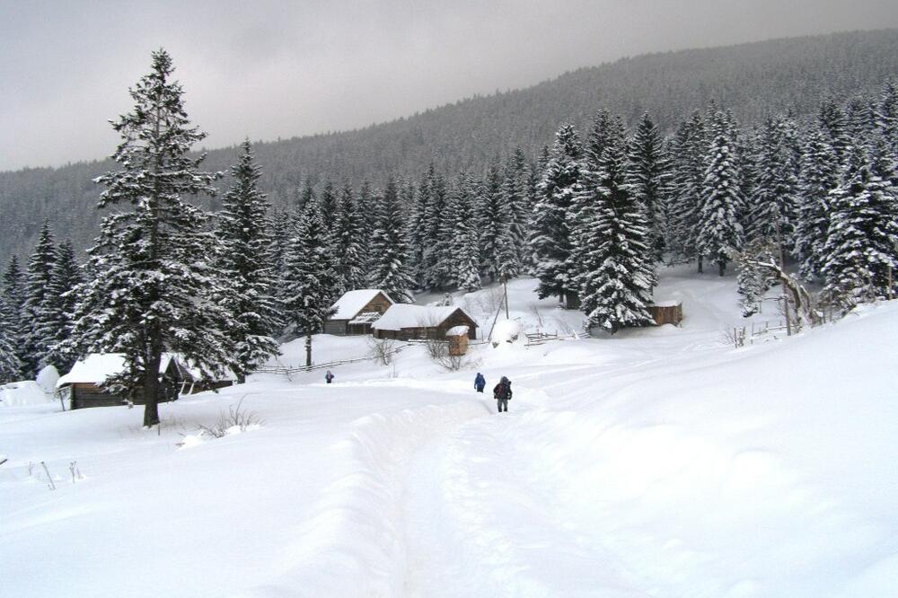 Radovi na izgradnji skijališta počeli 2018. godine: Hajla, Foto: Jelena Jovanovic