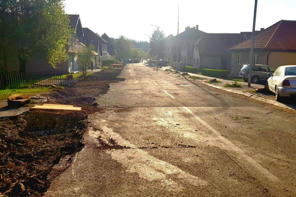 Posječeni drvored kestena i lipe, Foto: Privatna arhiva