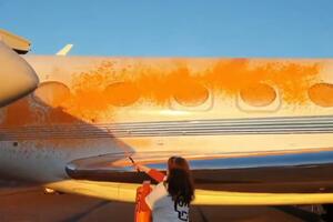 Aktivistkinje poprskale avione bojom na aerodromu, u Velikoj...